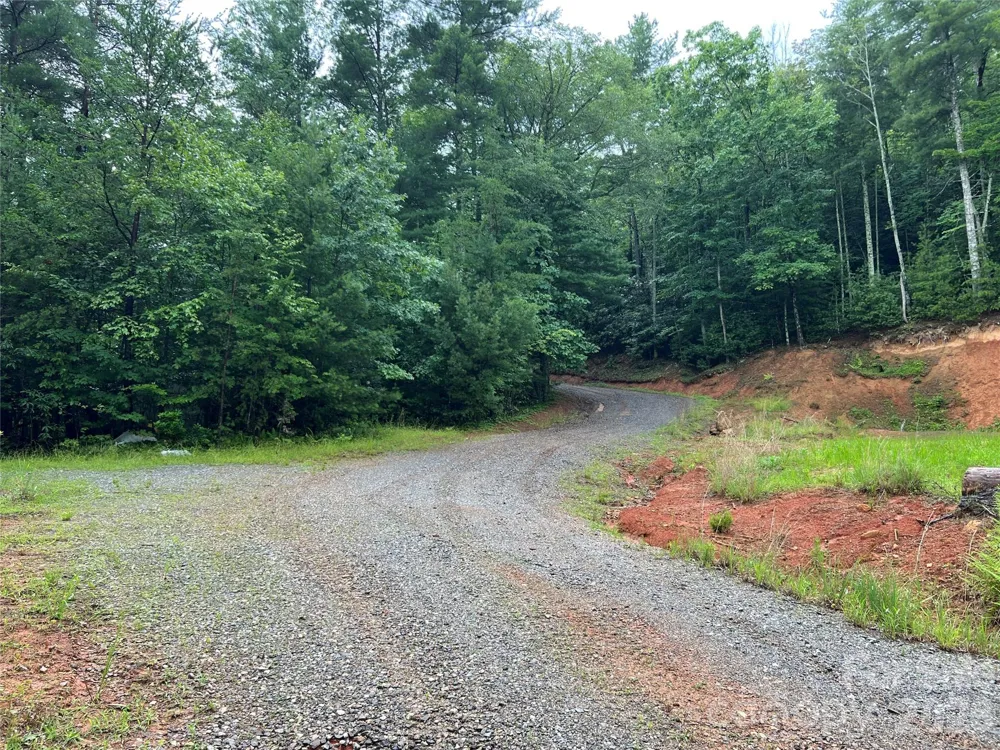 TBD Staghorn Road Purlear, NC 28665