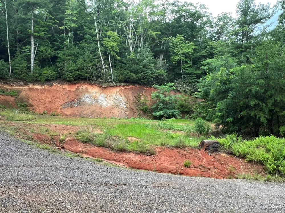 TBD Staghorn Road Purlear, NC 28665