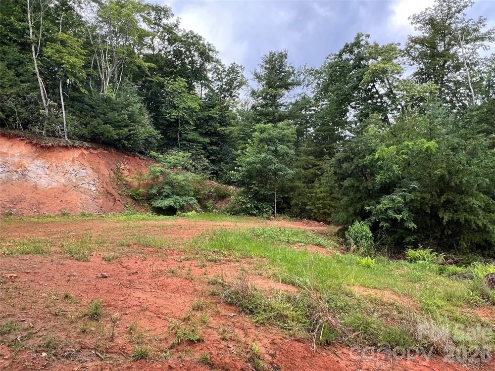 TBD Staghorn Road Purlear, NC 28665