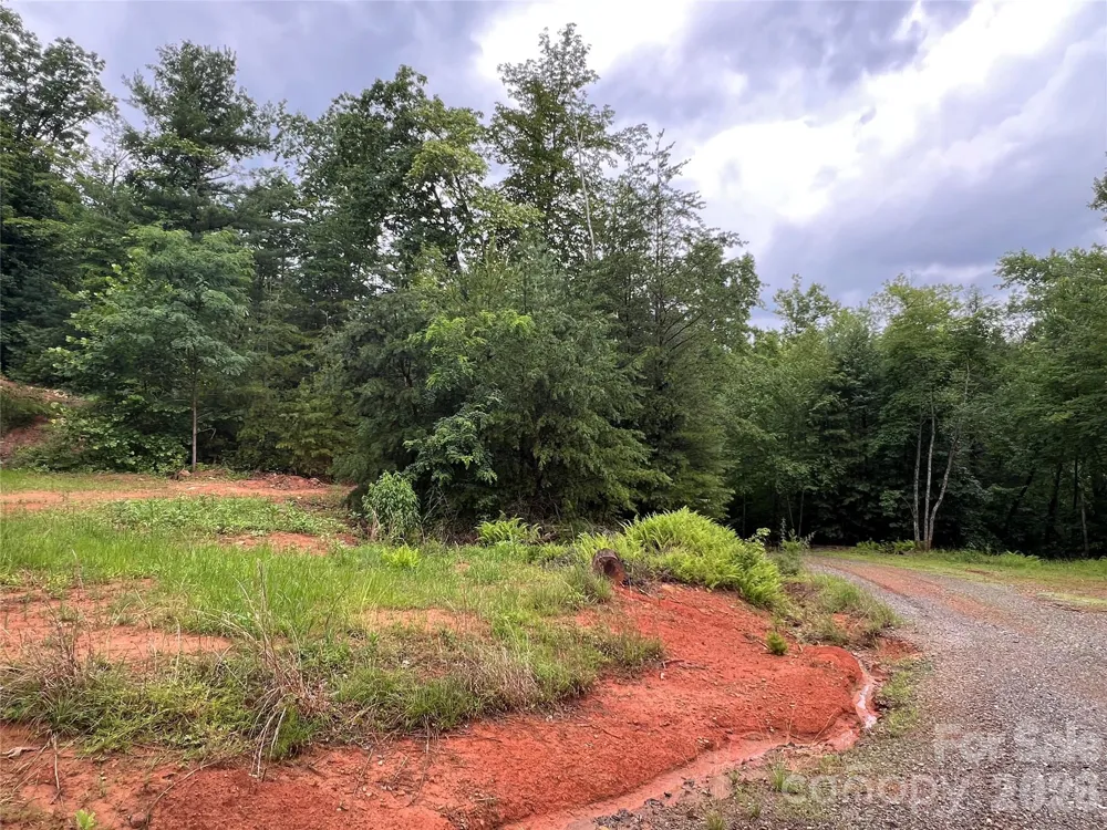 TBD Staghorn Road Purlear, NC 28665