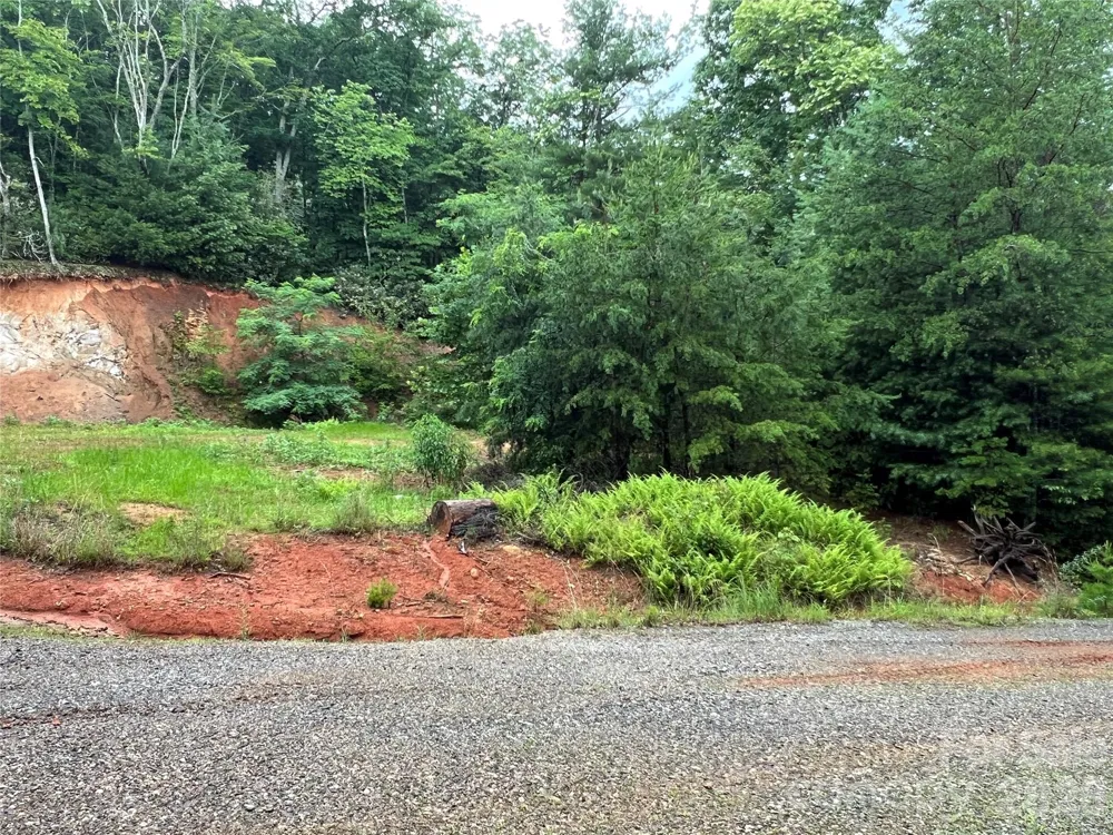 TBD Staghorn Road Purlear, NC 28665