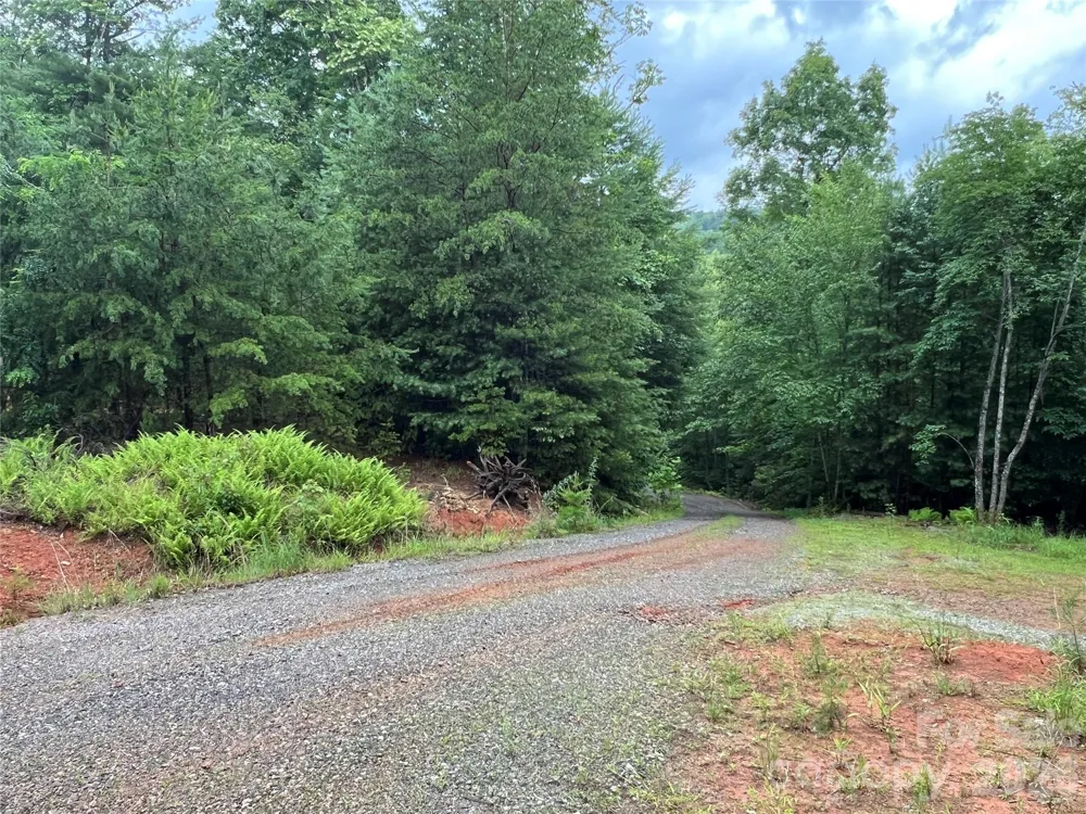 TBD Staghorn Road Purlear, NC 28665
