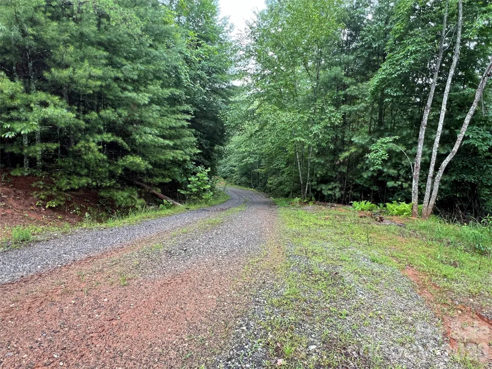 TBD Staghorn Road Purlear, NC 28665