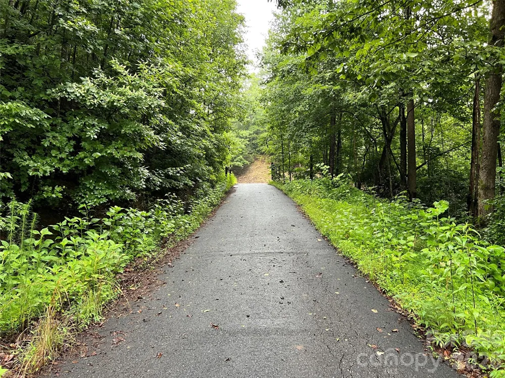 TBD Staghorn Road Purlear, NC 28665