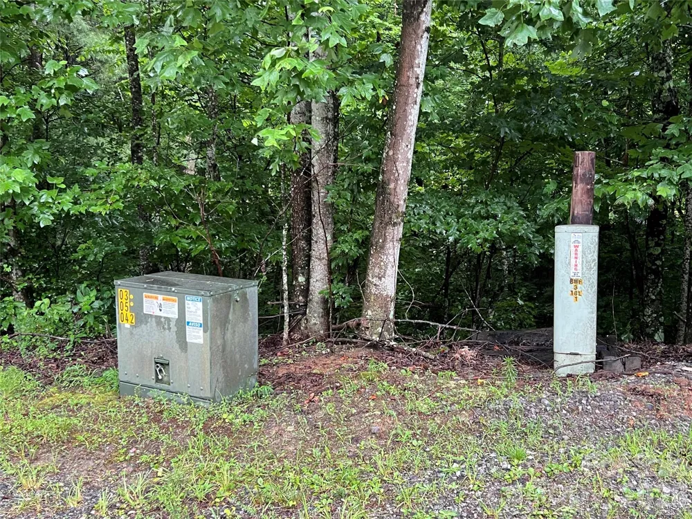 TBD Staghorn Road Purlear, NC 28665