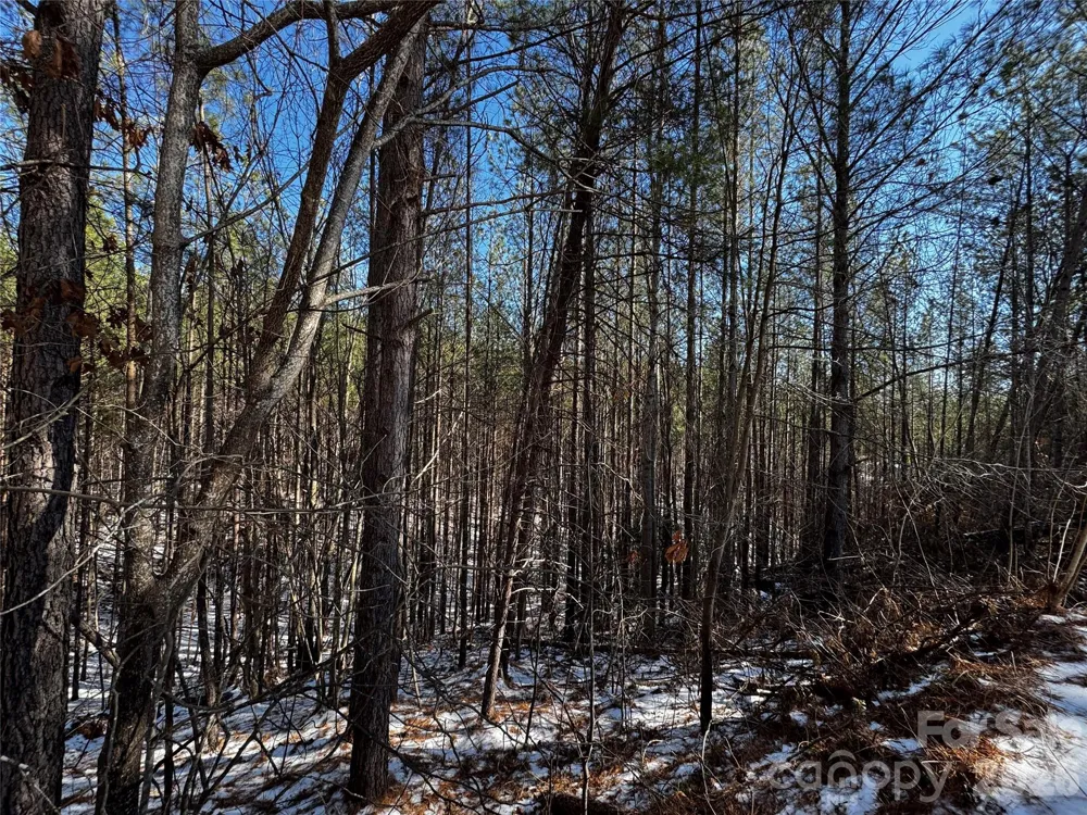 LT 5 Geebees Way Mill Spring, NC 28756