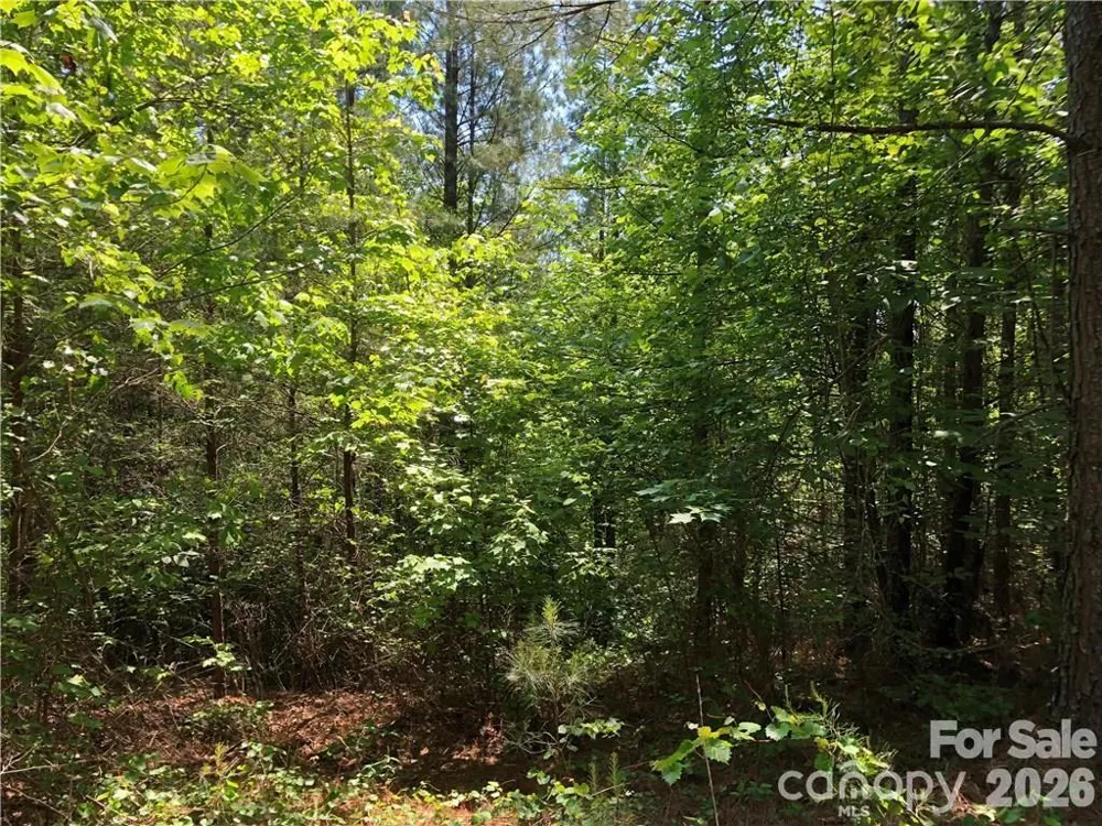 LT 5 Geebees Way Mill Spring, NC 28756