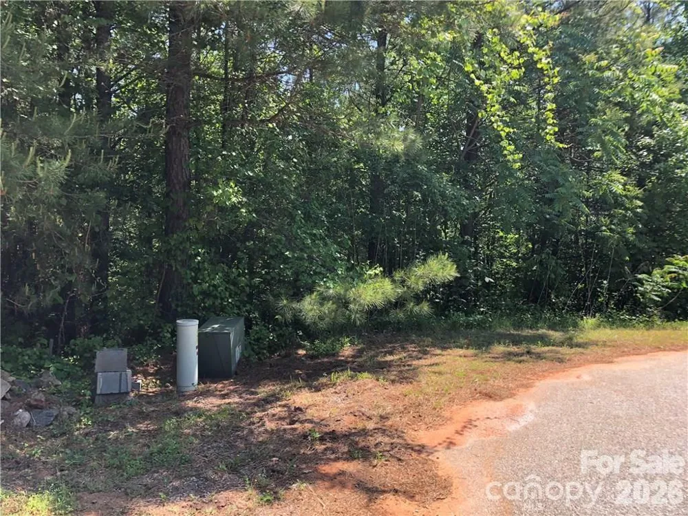 LT 5 Geebees Way Mill Spring, NC 28756