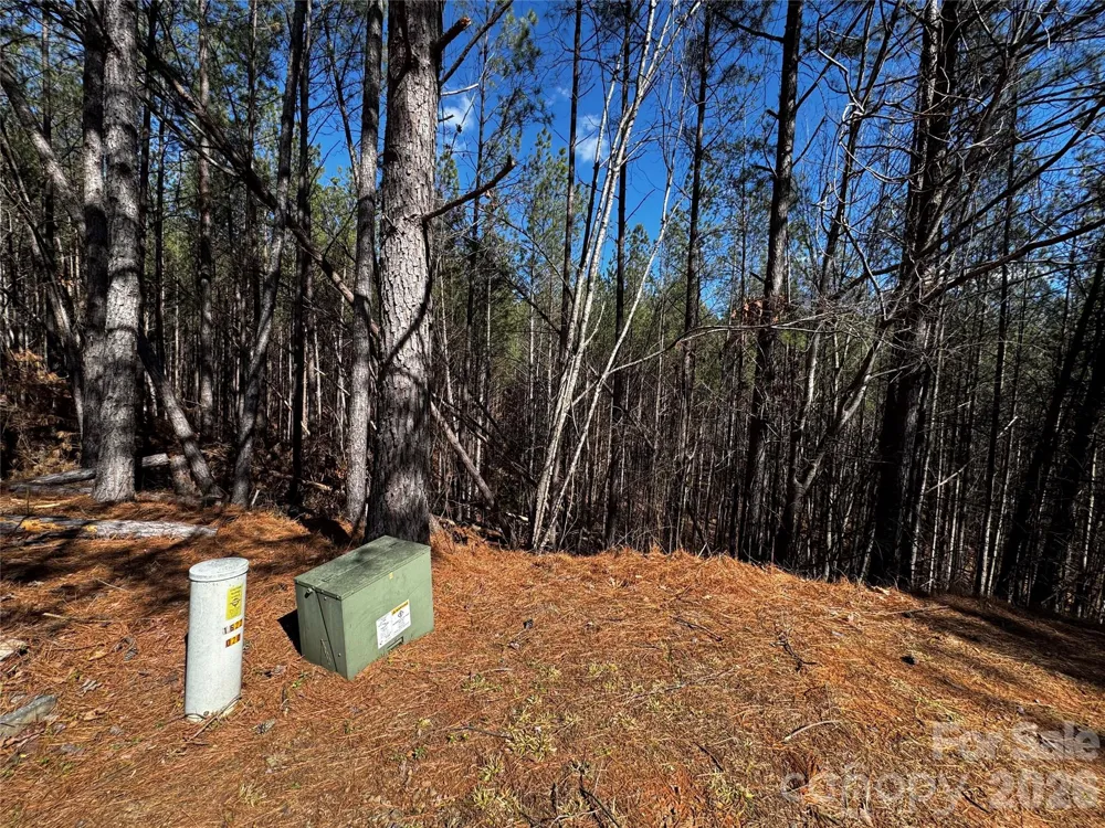 LT 5 Geebees Way Mill Spring, NC 28756