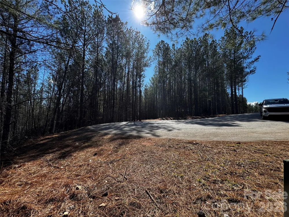 LT 5 Geebees Way Mill Spring, NC 28756