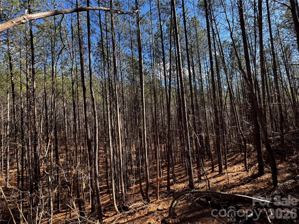 LT 5 Geebees Way Mill Spring, NC 28756
