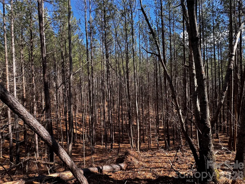 LT 5 Geebees Way Mill Spring, NC 28756