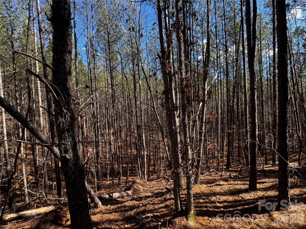 LT 5 Geebees Way Mill Spring, NC 28756