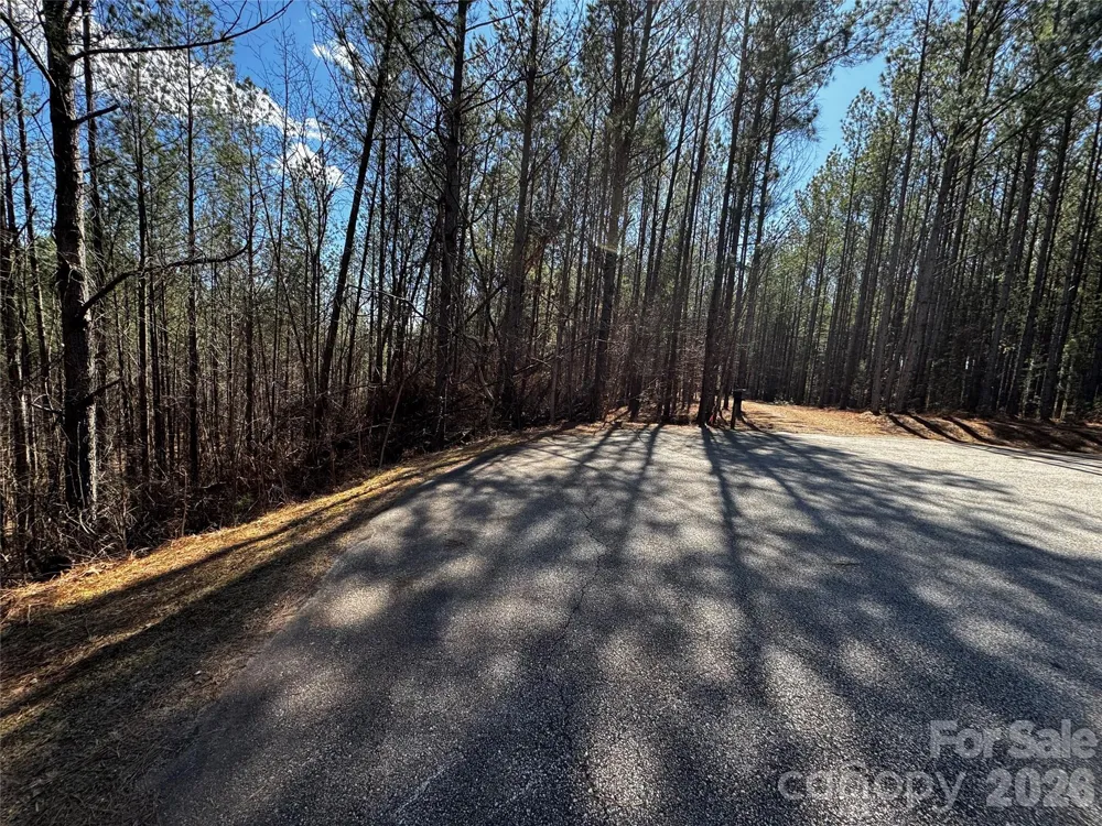 LT 5 Geebees Way Mill Spring, NC 28756