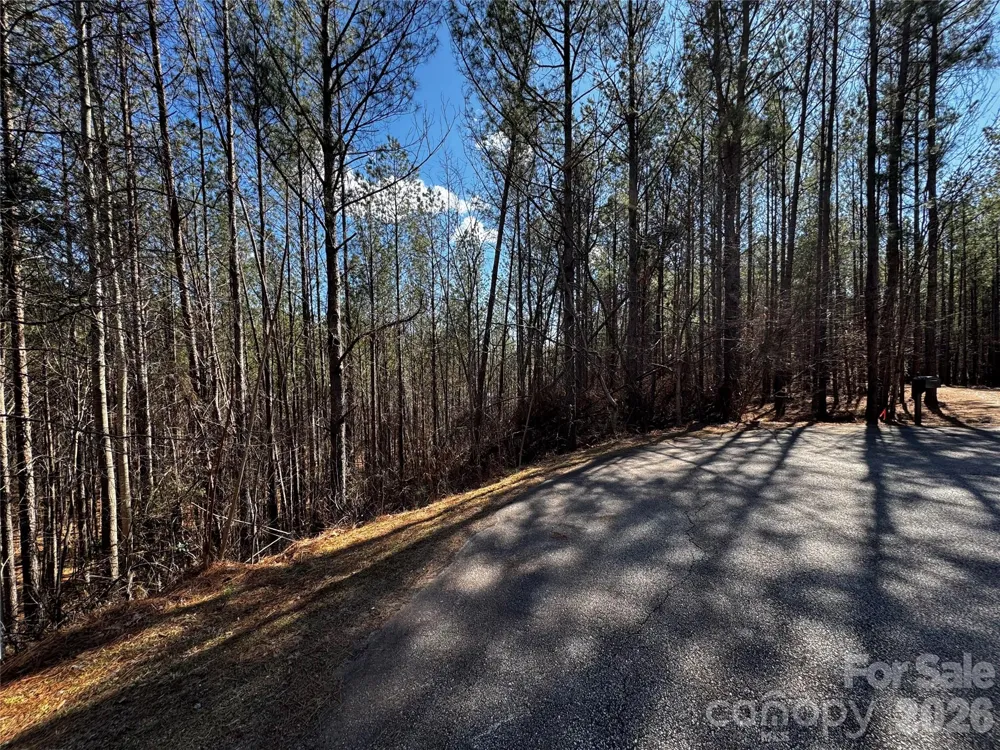 LT 5 Geebees Way Mill Spring, NC 28756