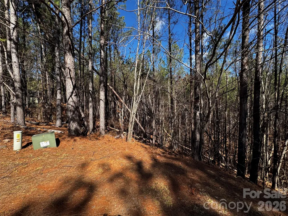 LT 5 Geebees Way Mill Spring, NC 28756
