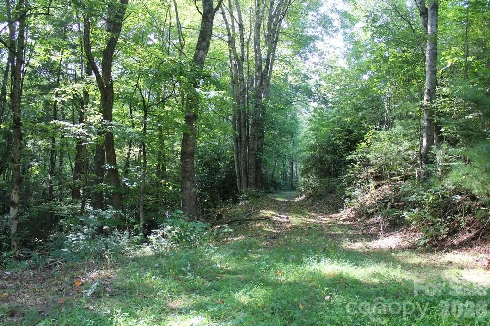 745 Broom Road Tuckasegee, NC 28783