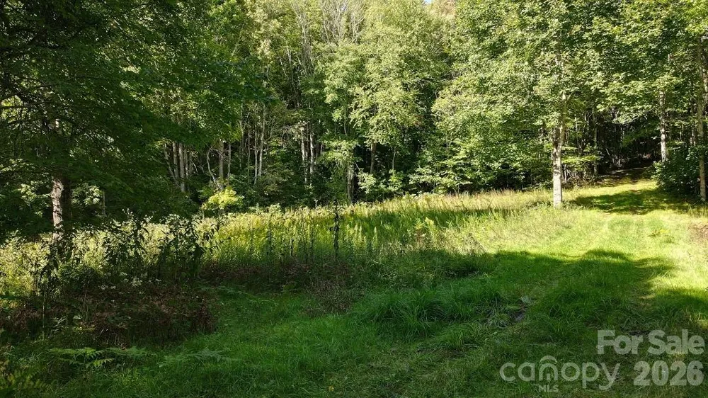 745 Broom Road Tuckasegee, NC 28783