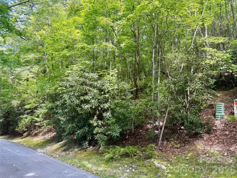 115 Black Oak Drive