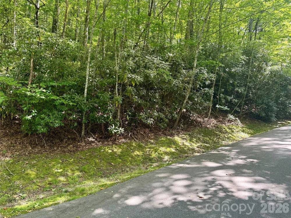 115 Black Oak Drive Sapphire, NC 28774