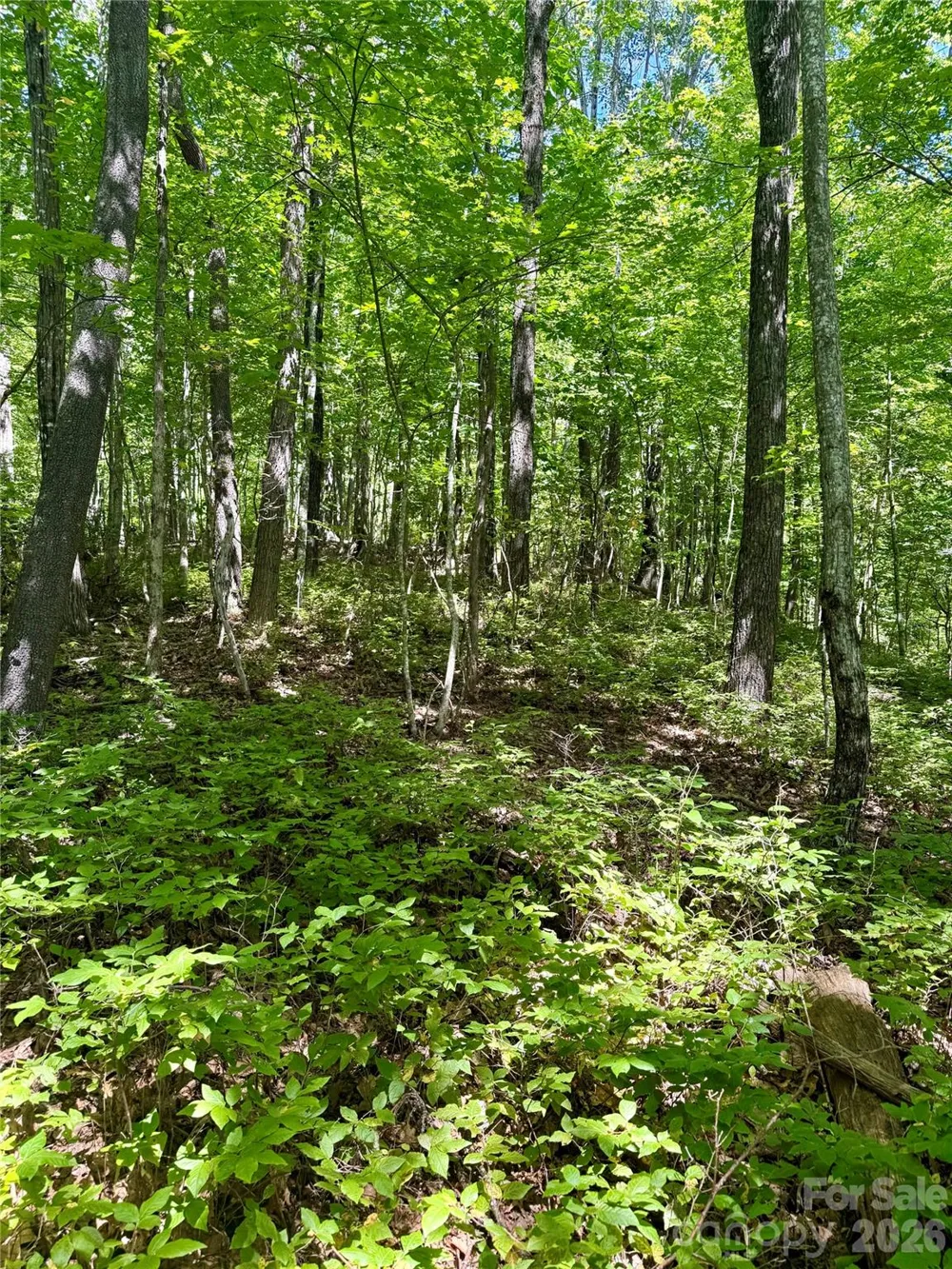 115 Black Oak Drive Sapphire, NC 28774