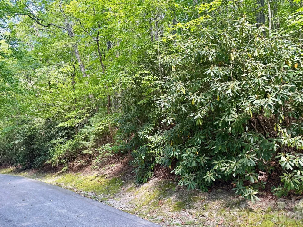 115 Black Oak Drive Sapphire, NC 28774