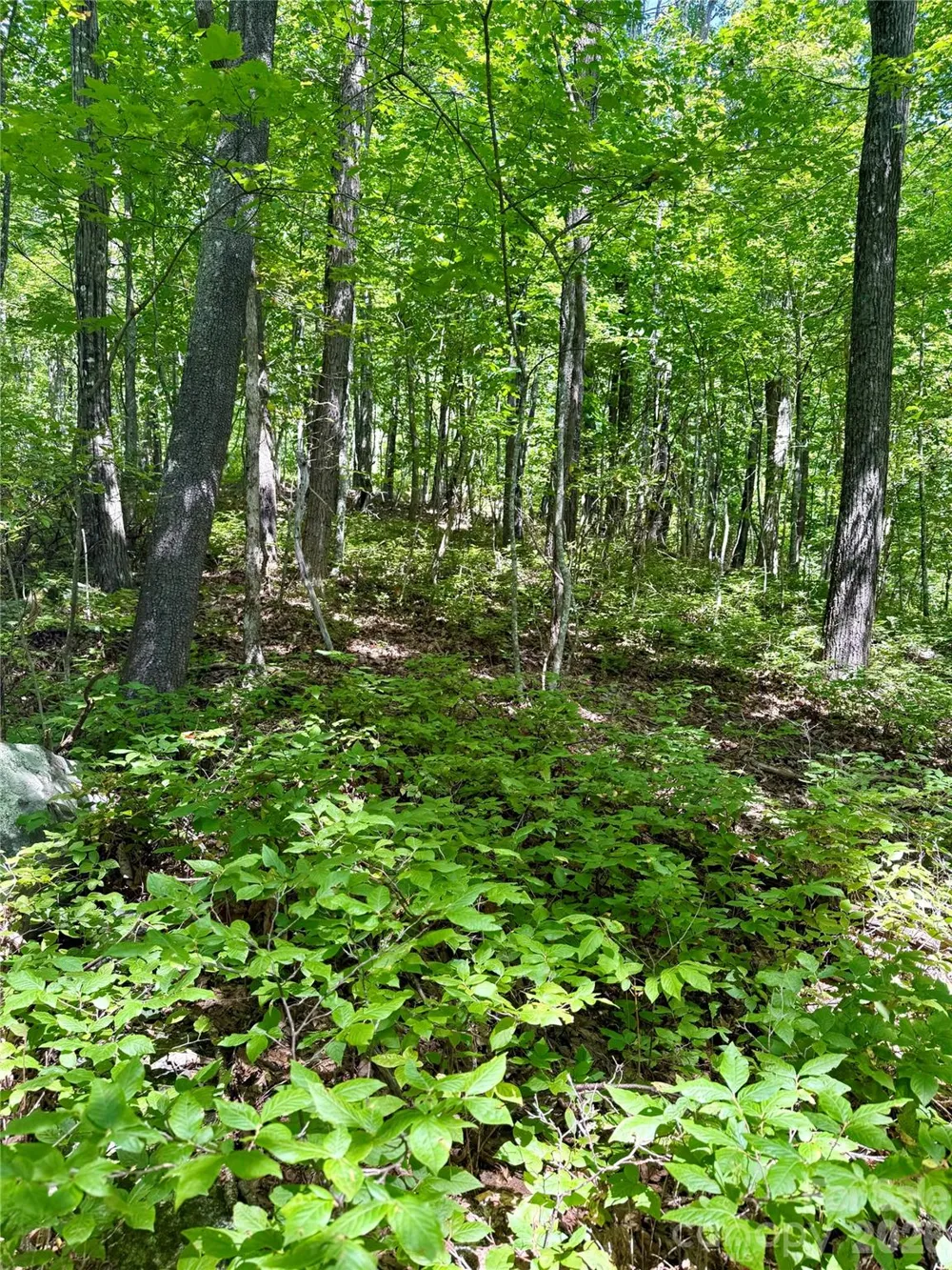 115 Black Oak Drive Sapphire, NC 28774