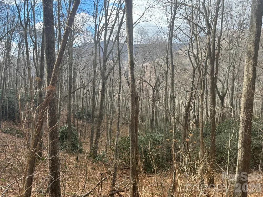 68 Grouse Road #68 Clyde, NC 28721