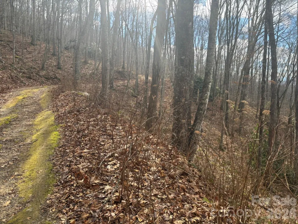 68 Grouse Road #68 Clyde, NC 28721