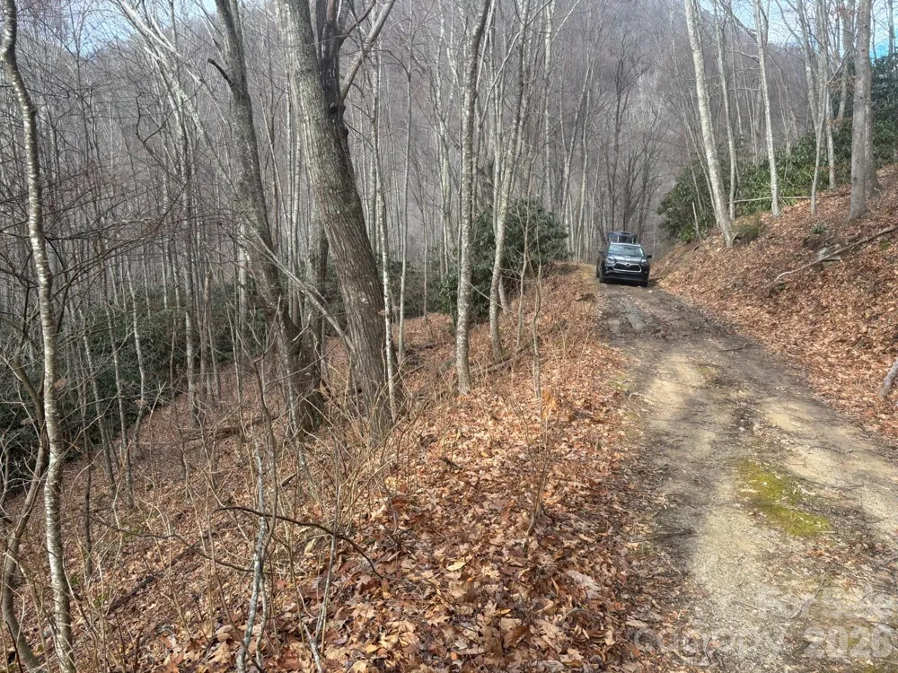 68 Grouse Road #68 Clyde, NC 28721