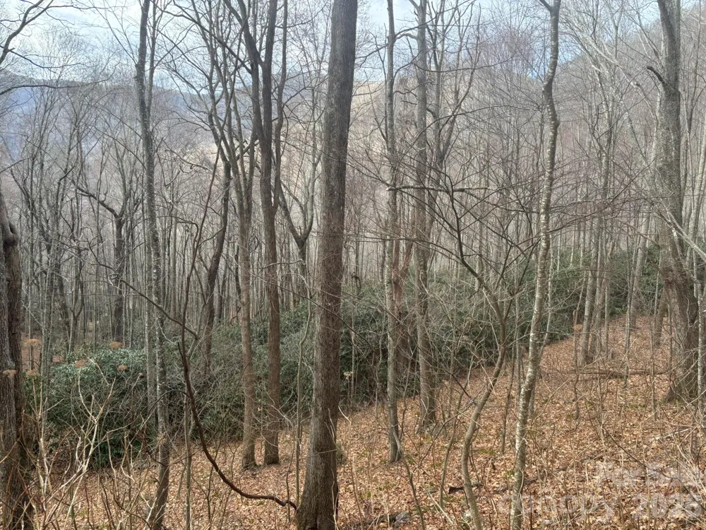 68 Grouse Road #68 Clyde, NC 28721