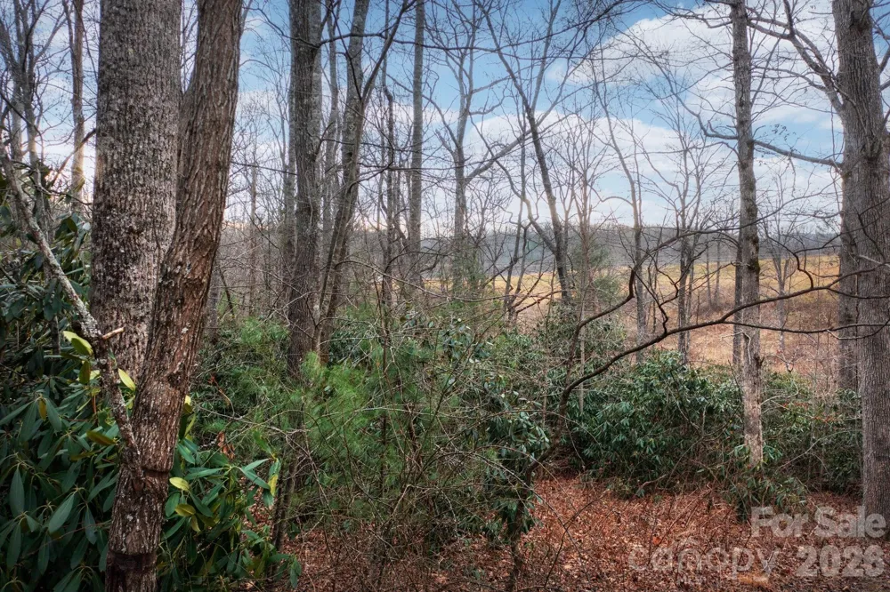 38 Gollum Drive Fairview, NC 28730