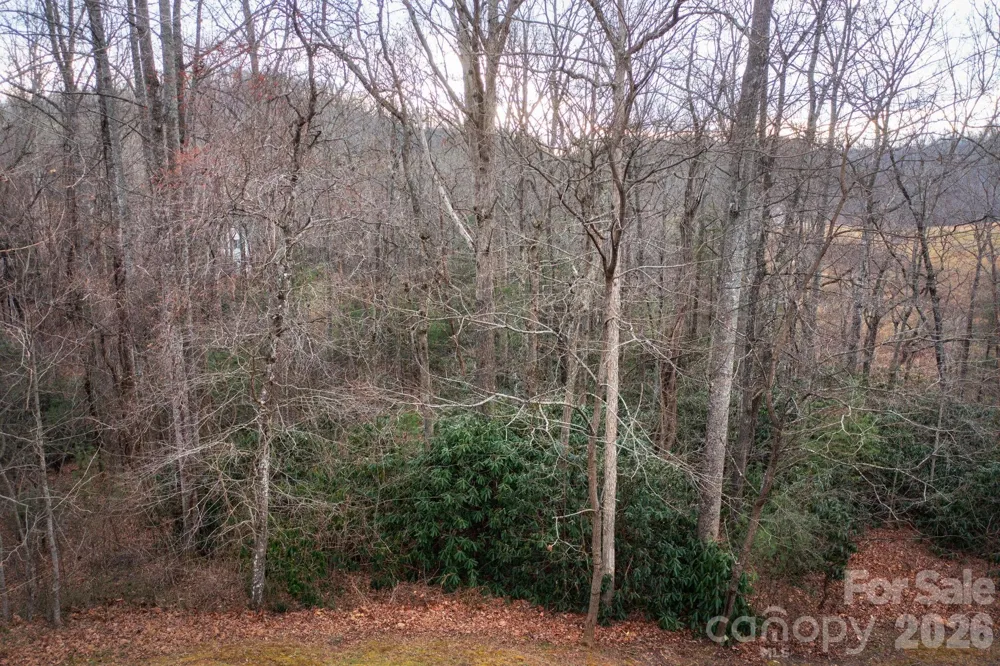 38 Gollum Drive Fairview, NC 28730