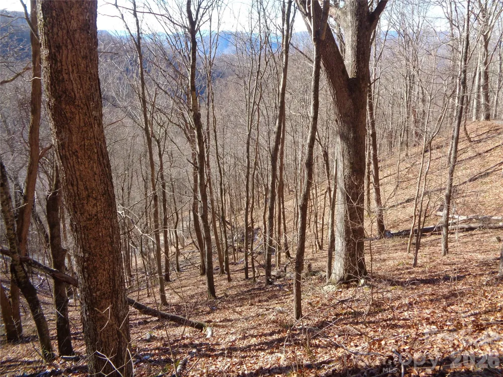 00 Listening Cove #41 Clyde, NC 28721