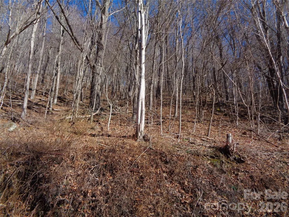 00 Listening Cove #41 Clyde, NC 28721