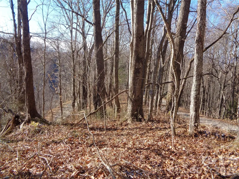 000 Listening Cove #42 Clyde, NC 28721