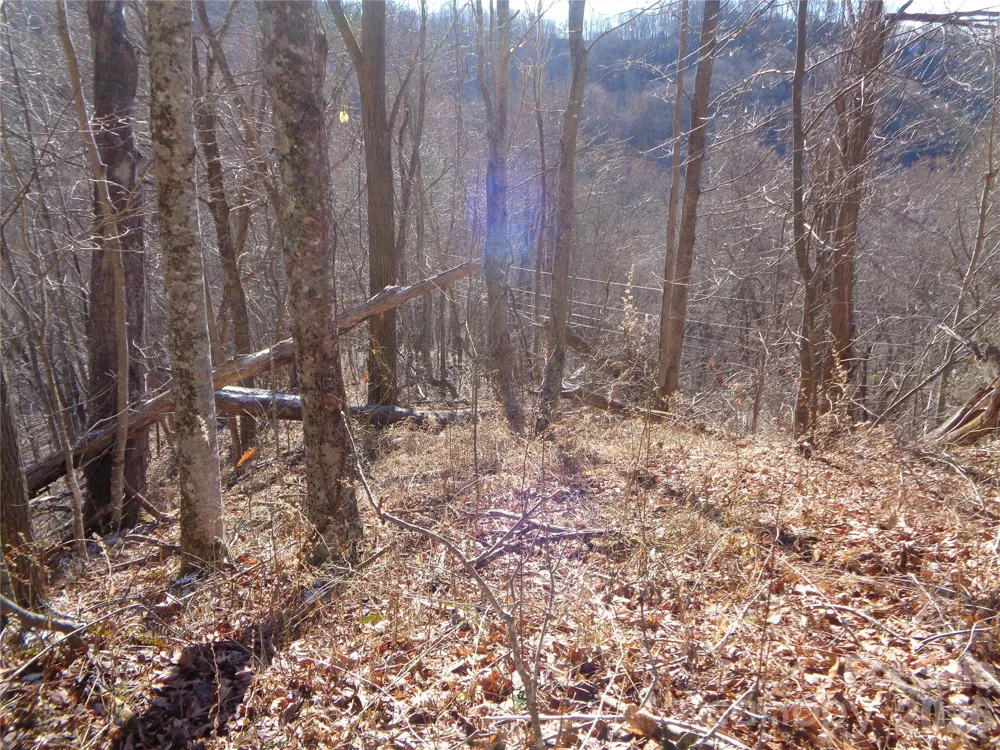 000 Listening Cove #42 Clyde, NC 28721