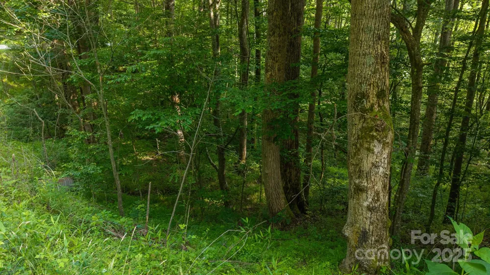 0 Brushy Mtn Road Moravian Falls, NC 28654