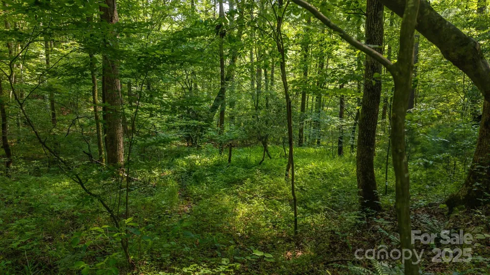 0 Brushy Mtn Road Moravian Falls, NC 28654