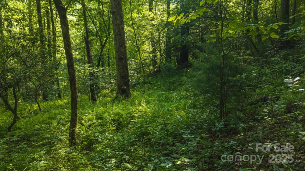 0 Brushy Mtn Road Moravian Falls, NC 28654