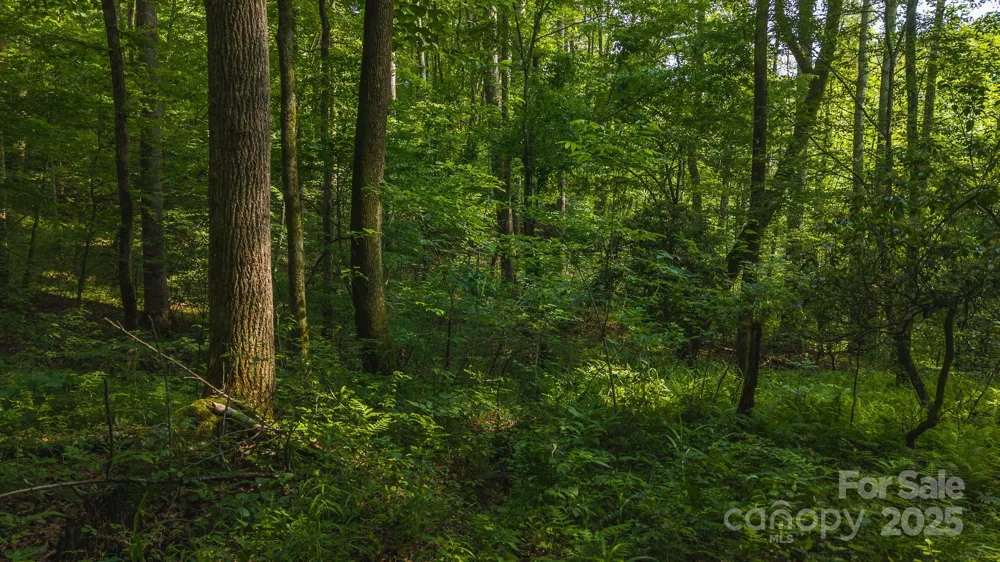 0 Brushy Mtn Road Moravian Falls, NC 28654