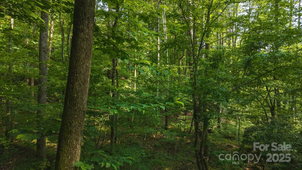 0 Brushy Mtn Road Moravian Falls, NC 28654