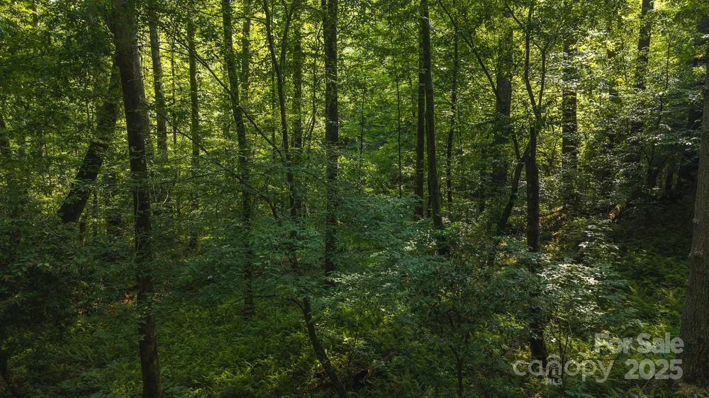 0 Brushy Mtn Road Moravian Falls, NC 28654