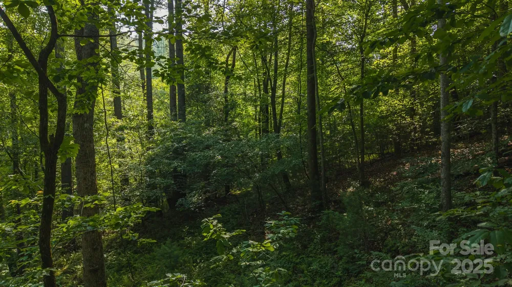 0 Brushy Mtn Road Moravian Falls, NC 28654