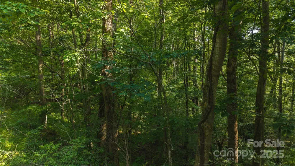 0 Brushy Mtn Road Moravian Falls, NC 28654