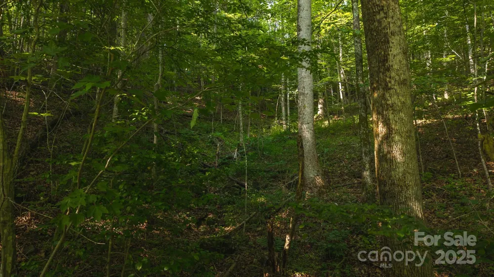 0 Brushy Mtn Road Moravian Falls, NC 28654