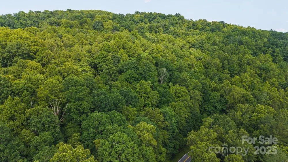 0 Brushy Mtn Road Moravian Falls, NC 28654