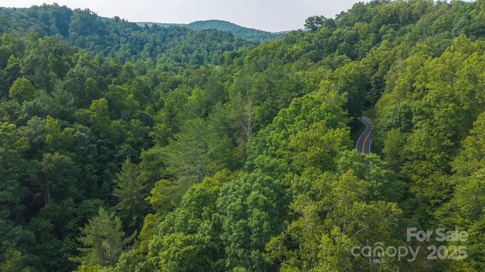 0 Brushy Mtn Road Moravian Falls, NC 28654