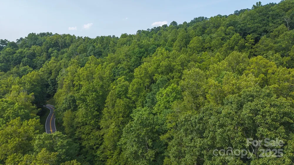 0 Brushy Mtn Road Moravian Falls, NC 28654