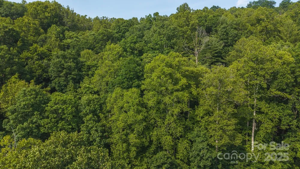 0 Brushy Mtn Road Moravian Falls, NC 28654